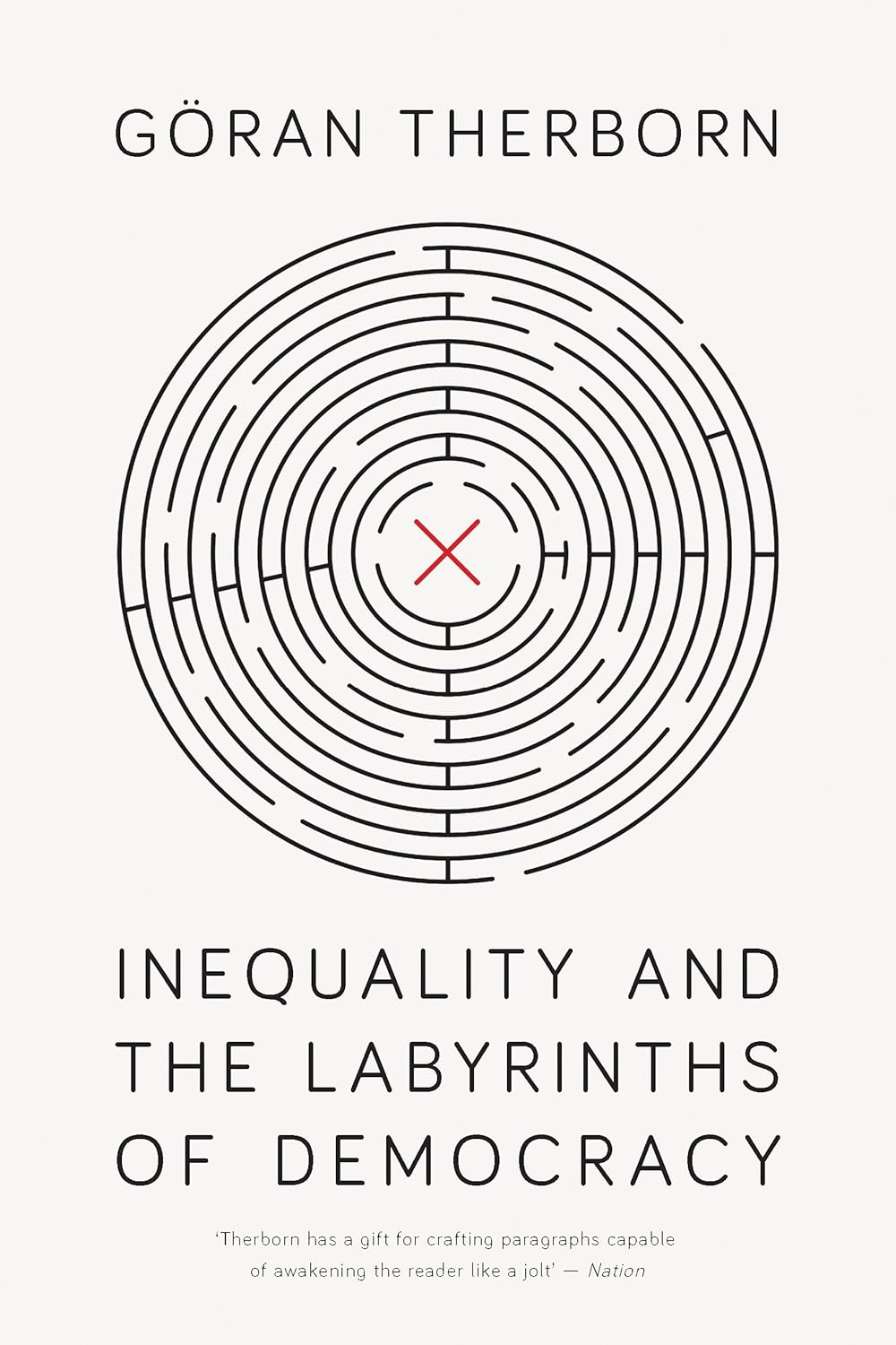 Cover of Inequality and the Labyrinths of Democracy